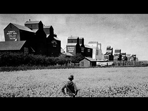 Vulcan's 'Nine in a Line' once boasted the largest grain storage capacity in Canada