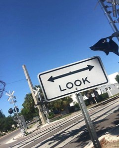 2.9K views · 167 reactions |  | Carrot Top | Facebook