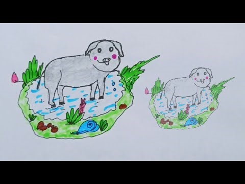 How to draw the pig animal🐵🐔🐶🐷 #rdartzoo #easydrawing #video 