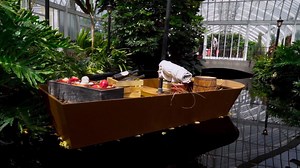 1.4K views · 46 reactions | Thinking about visiting Phipps this...