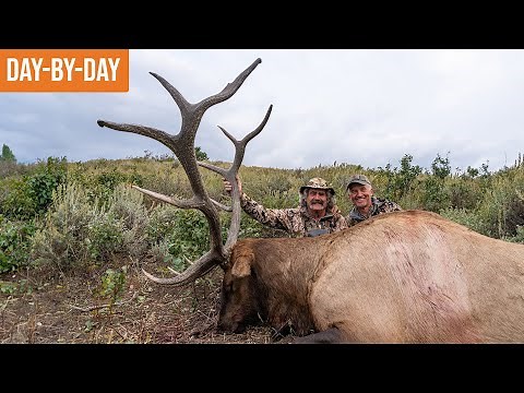 GIANT BULL ELK on Idaho's SUPER TAG | The Biggest Bull We've Ever Filmed! (ep.2)