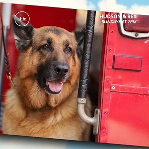 Sorry Rex it's Big Ben, not Big Bone 🦴 | U&Alibi