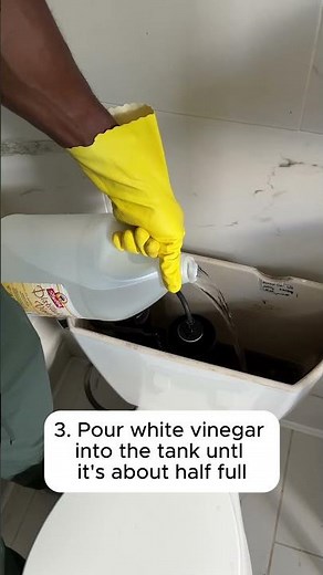 How to clean your toilet tank