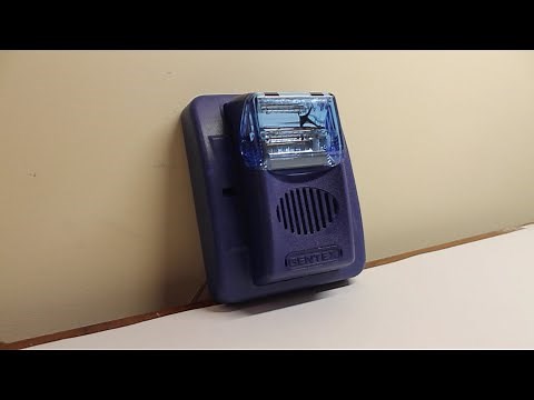 Gentex GECB-24PWB (Blue Commander 3): All Tones Demo