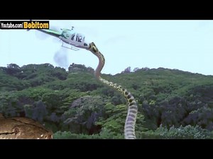 🔥🔥 ENG KATTA ILONLAR 😳 TOP-5 ILON TURLARI 😱😱😱😱