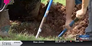 Shady 580 event brings more trees to community sites