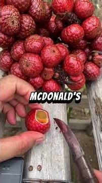 "ronaldo mcdonaldo"😭💀 #shorts