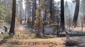 2.1K views · 22 reactions | The latest #CaldorFire numbers, per Cal...