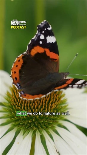 King Charles's philosophy of harmony