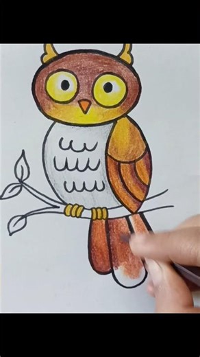 Cute Owl🦉bird drawing.... #drawingprocess #artandcraft #trending #art #artdrawing #drawing #viral