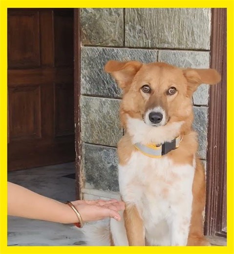 ms.coco💗🎀🩷 #music #hiphop #song #rap