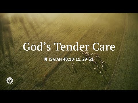 God's Tender Care | Audio Reading | Our Daily Bread Devotional | September 14, 2025