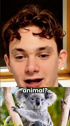 Psychology Student: This Is Exactly How Animals Think