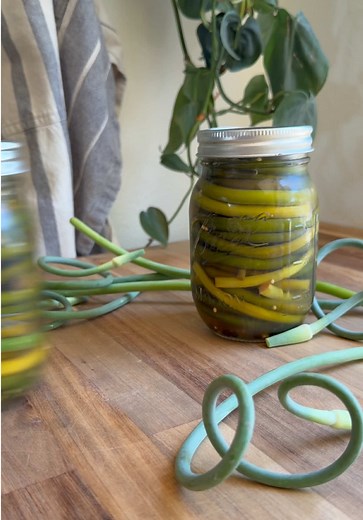 Garlic scape pickles! (Want more info, how to choose scapes, etc? Check out my blog post!) Ingredients (Makes 2 Pints) ½ Lb Garlic Scapes 2 Cups Apple Cider Vinegar 2 Cups Water 2 Tbs Salt 1 Tsp Sugar 1 Tsp Mustard Seeds 2 Tsp Black Peppercorns 4 Cloves Garlic 2 Bay Leaves Bunch of Dill Method Trim the garlic scapes. Remove any hard or yellowing length from the bottom of the scape and cut right underneath where the junction where the scape meets the bloom is. Divide the mustard seeds, pepper, ga