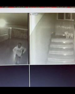 Nella notte tra il 24 e il 25 dicembre scorsi, un ladro si è introdotto in un appartamento nei pressi di piazza Nazionale abitato da madre e figlia. Colto sul fatto dalle vittime è riuscito a dileguarsi fuggendo dalla porta di casa dopo che si era introdotto arrampicandosi lungo le tubature dell’acqua fino al terzo piano, introducendosi dal finestrino del bagno. Le immagini della fuga sono state immortalate dalle telecamere a circuito chiuso del condominio e inviate al deputato Francesco Emilio 