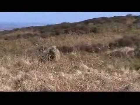 Desert Ghillie Suit - Where Did He Go?