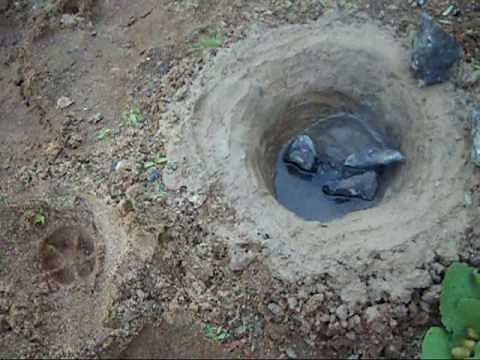 cooking freshwater mussel Clam at the creek,wilderness survival
