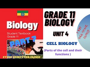 Ethiopia Grade 11 Biology - Unit 4 - Part 7 | Parts of the cell (የ11ኛ ክፍል ባዮሎጂ - ምዕራፍ 4 - ክፍል 7)