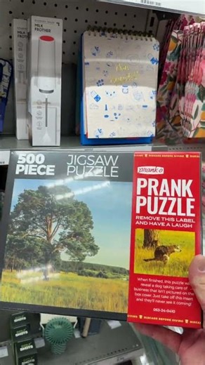 Prank Puzzles now in Target!