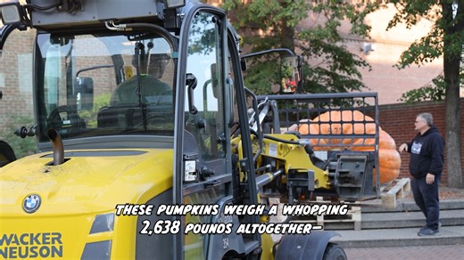 Don't miss Fall Fest today and tomorrow, October 3 & 4, in Downtown Holland! #MiHolland #fallfest | City Of Holland, Michigan - City Hall