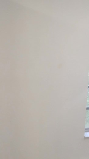 Two bedrooms, one bath, prime location. Section 8 welcome. Other programs accepted. background check required. | Johnny Walker