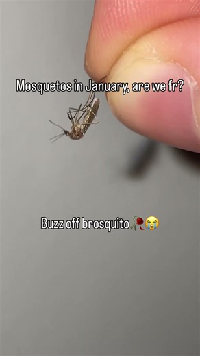 Go to sleep homie😭🥀