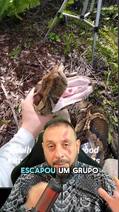 118K views · 2K reactions | Bocarra da cobra #animais #cobra #python #dentesdecobra #píton | Biólogo Henrique o Biólogo das Cobras | Facebook