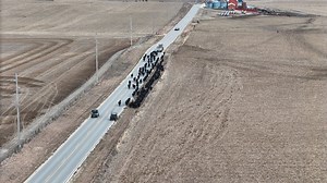 32K views · 287 reactions | And just like that, the cows are home for...