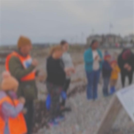 Grounding or Priming Activities By The Shore 💙 One of our favorite activities before we start Explore The Shore! This is a lovely introduction to the sea, all participants gather some stones and close their eyes. The facilitators can call instructions on breathing, speed up or slow down.... Such a lovely lead-in to a day on the shore, and special thanks to Explorers Education Programme for the idea. #Experiences #StoneDrumming | Galway Atlantaquaria