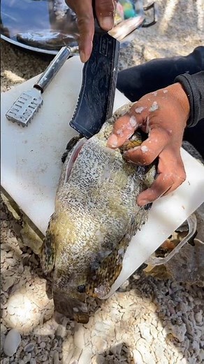 Cleaning a HUGE Fresh Grouper - Best Technique for Perfect Fillets!