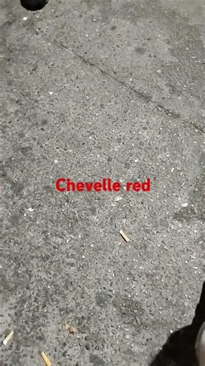 Chevelle red