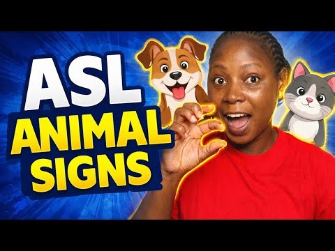 ASL Animal Signs | part 1 of Animal signs.