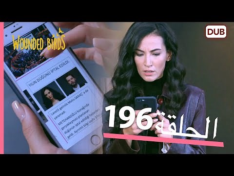 الطيور الجريحة | الحلقة الكاملة 196 | مدبلج عربي
