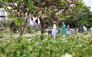 Bangladesh reports 43 more virus deaths, 3,809 new infections