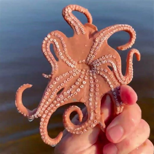 Octopus RC Rescue Adventure – Beach Patrol Trailer Pickup!