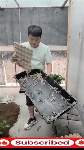 **“China’s magnificent farming”**