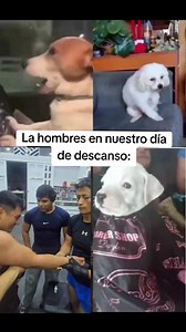 xD #humorgym #malasdecisiones #gymtoks #huanuco #saiyagymhuanuco