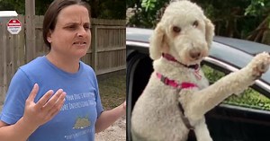 Dog trainer Nikki Camerlengo, owner of Pawsitively Paradise, faces second count of animal cruelty
