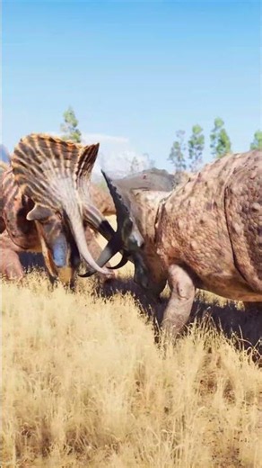 DINOSAURS HERBIVORES IN BATTLE 💥🌴Prehistoric Kingdom 🌴 #dinosaur #xbox #prehistorickingdom