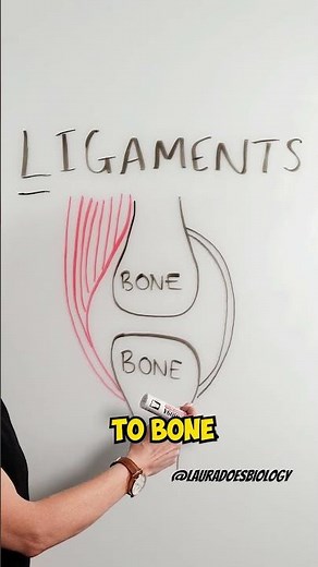Quick Trick to Remember Ligaments vs. Tendons #shorts