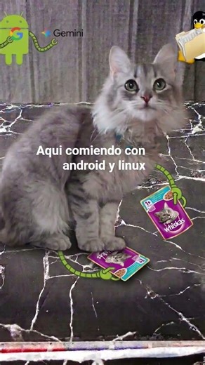 angorita android y linux