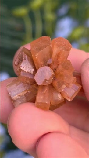 Aragonite crystal cluster, raw natural rock specimen #rocks #geology #aragonite