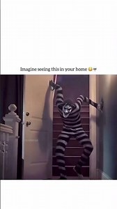 Separation (2019 Movie)