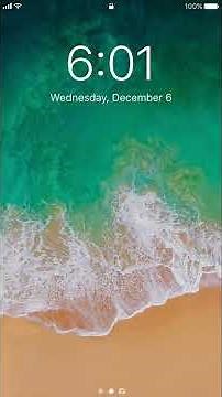 Download the Hibbett Sports | City Gear App