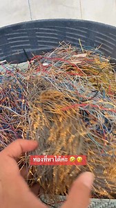 51K views · 352 reactions | หาทองในสายไฟ#ล้านหนึ่งรีไซเคิล#สกัดทอง#รีไซเคิล | แผงวงจร แผงวงจร หนึ่ง | Facebook