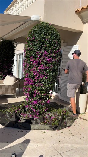 #shortsreels #shortreelsvideo #clean #relax #gardentransformation #stihl #cleaning #short | Vitalii Sanotskyi