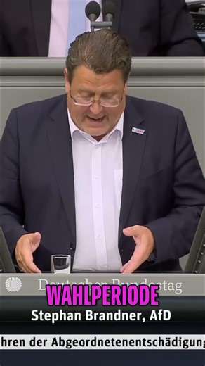 AfD: Debatte über Diätenerhöhung findet statt! #shorts