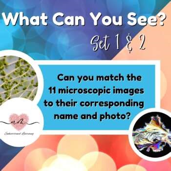 Microscopic Images Sorting Cards - What Do You See? Science Activity Set 1 & 2
