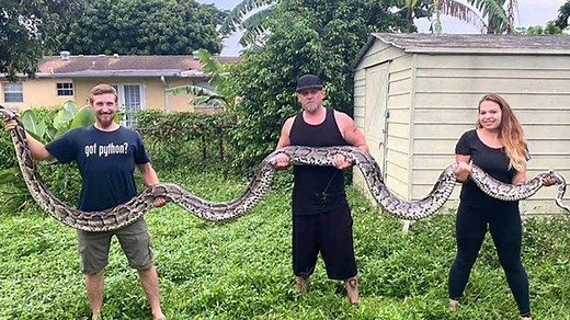 Longest python ever caught in Florida