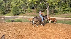 GRACE WORKING NUMBER 19 | Max Bishop